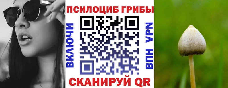mega маркетплейс Лесной Псилоцибиновые грибы мицелий